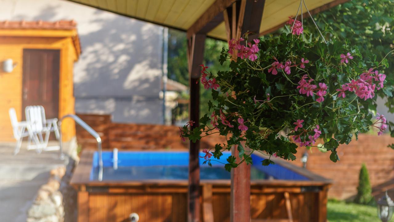 Villa Rose Belogradcsik Kültér fotó